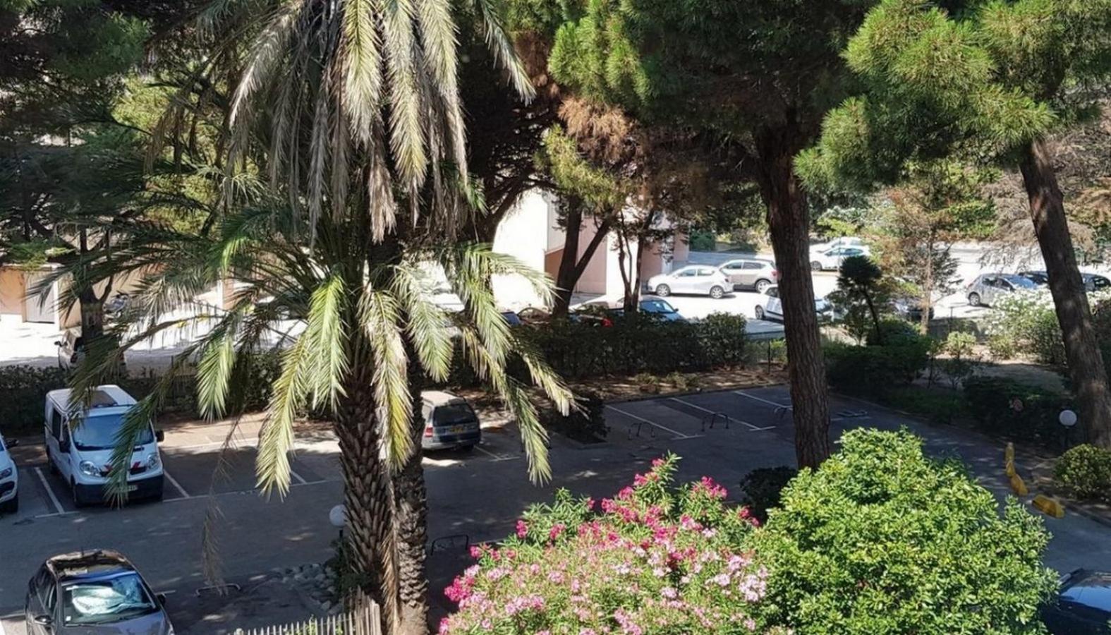 Studio A 100 M Du Port Et 500 M Des Plages Hyeres Exterior photo